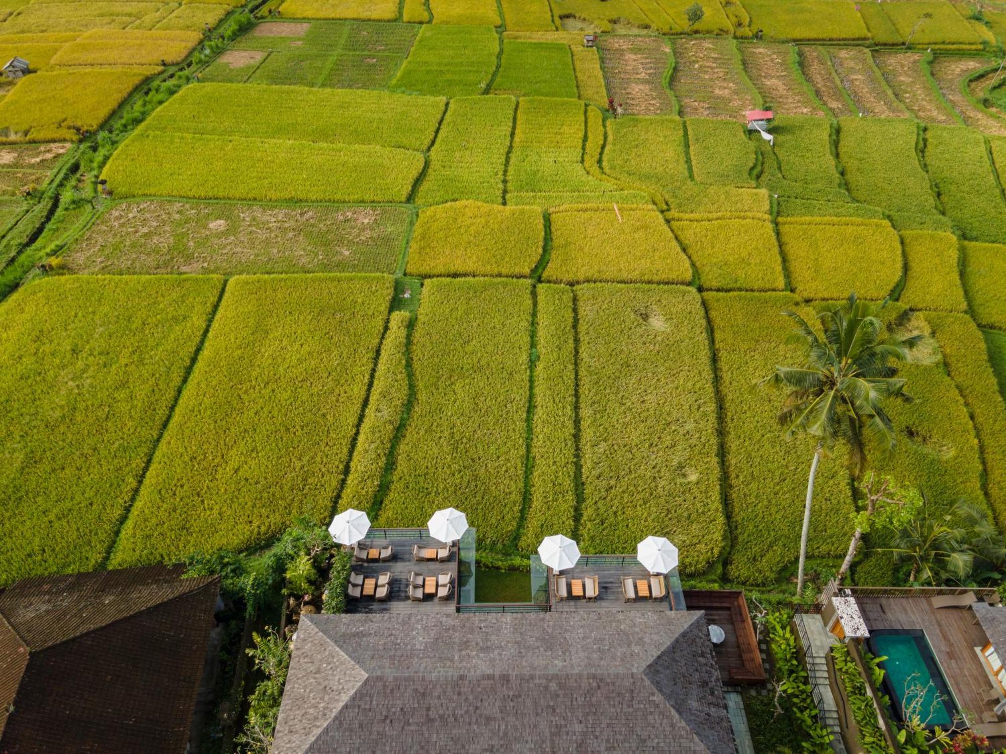 Kappa Senses Ubud Eksteriør bilde