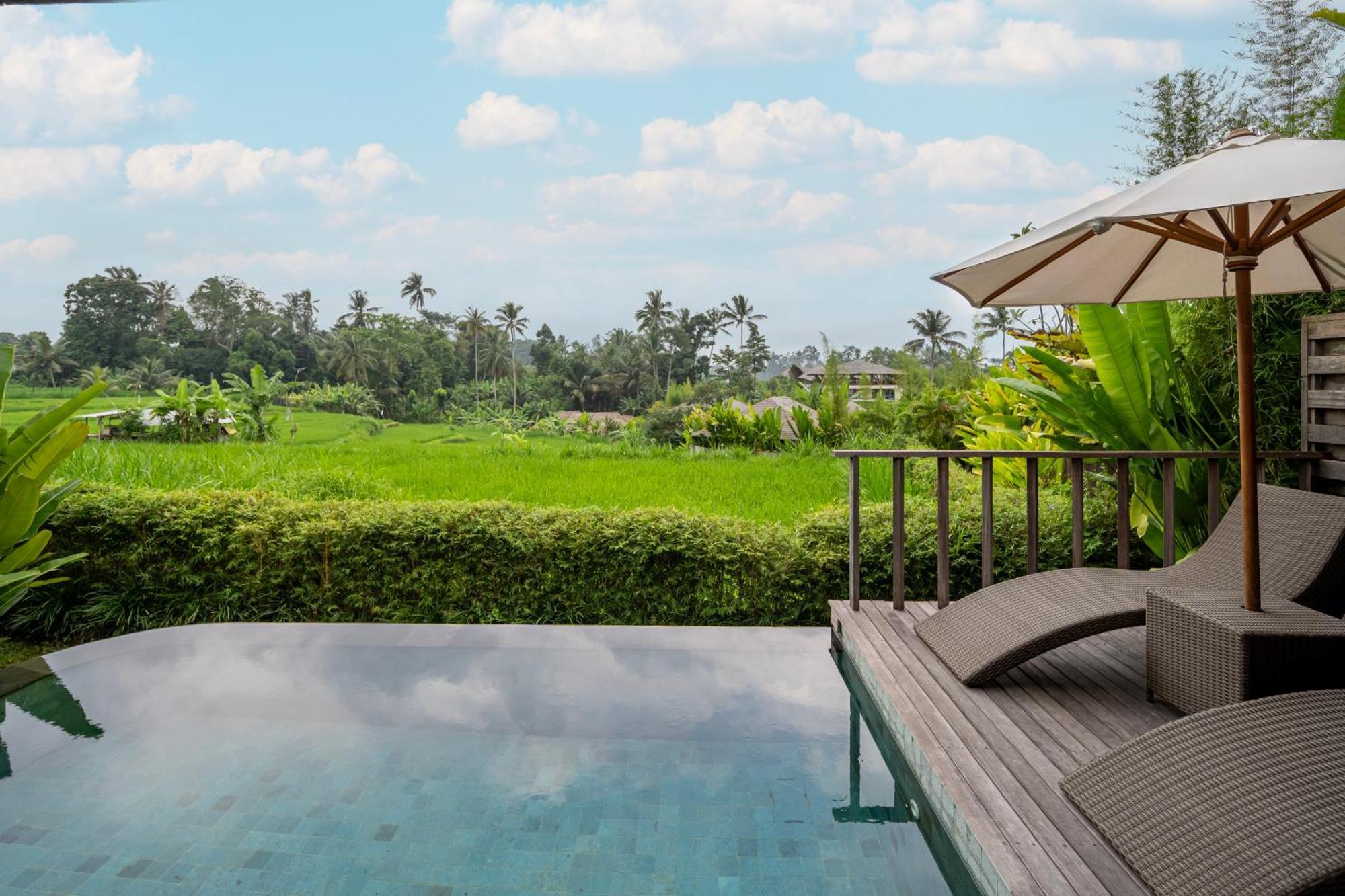Kappa Senses Ubud Rom bilde